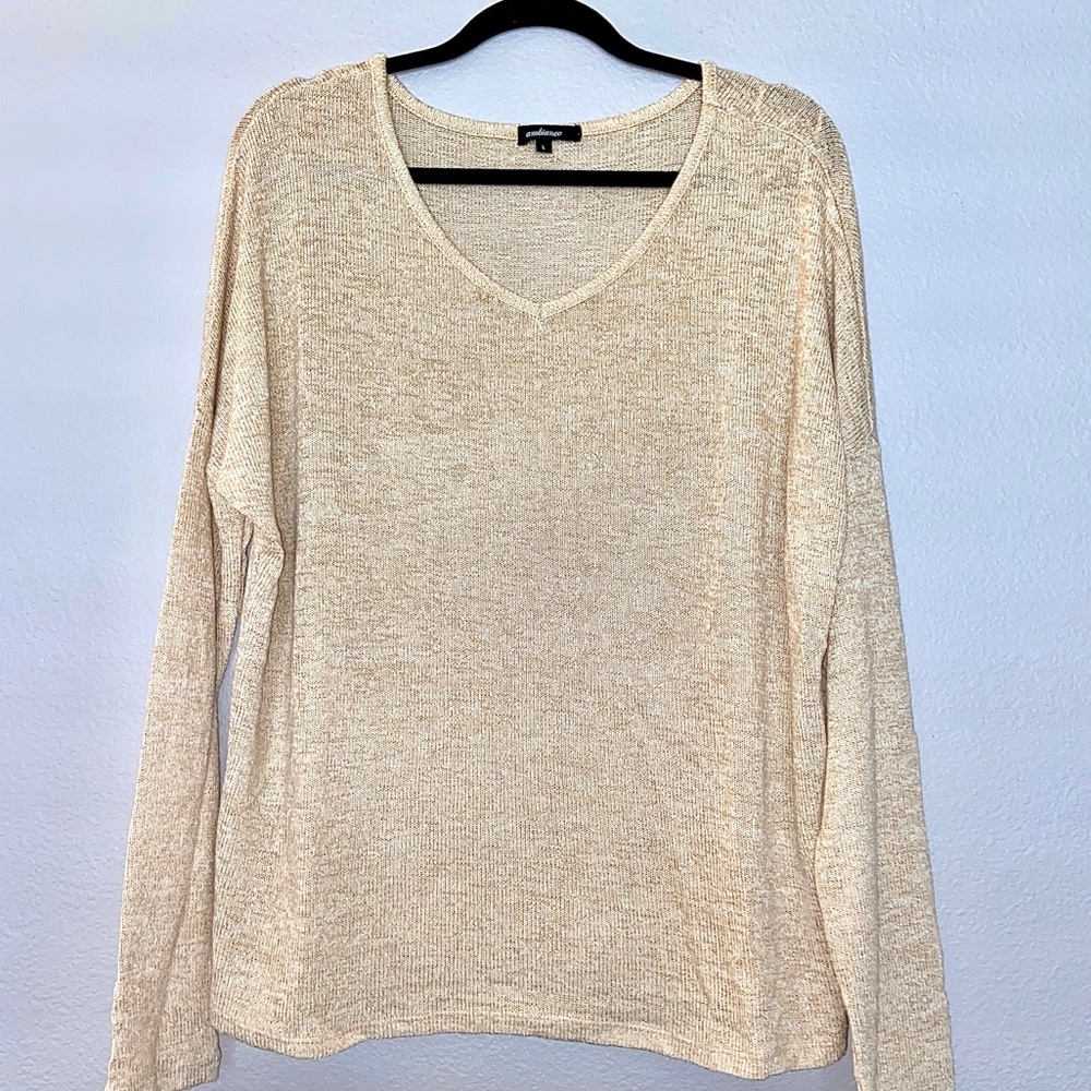 Cream Long V-Neck Sleeve Sheer Top
